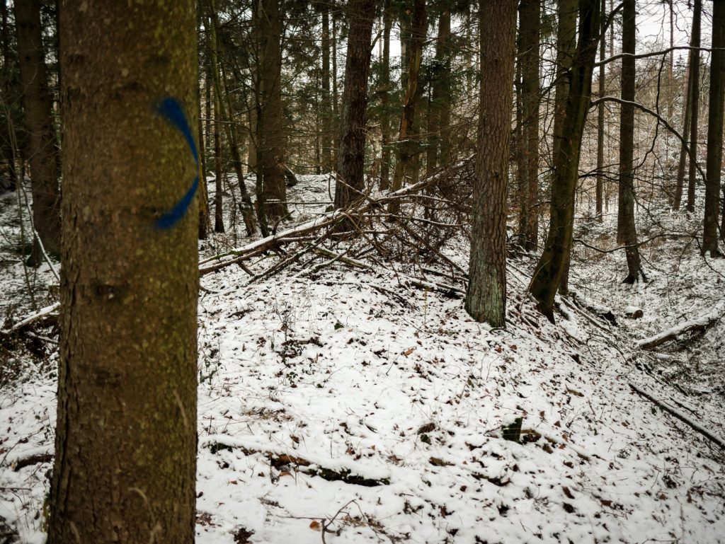 Keltenschanze Wald Winter Schnee